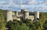 Association des Amis du château de Coudray-Salbart